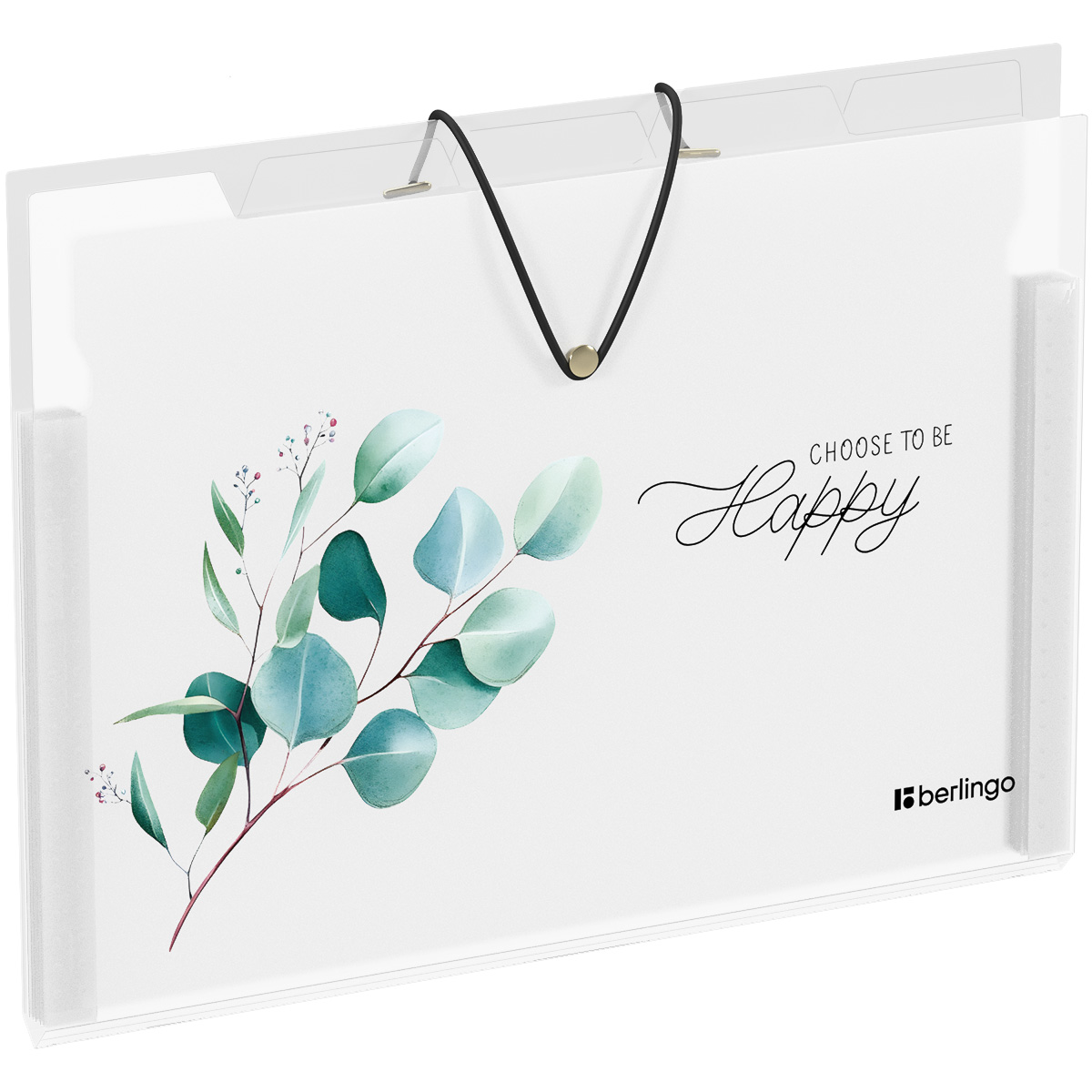 Папка 5 отделений Berlingo "Spring", А4, 600мкм, на резинке, с рисунком XF4_05141