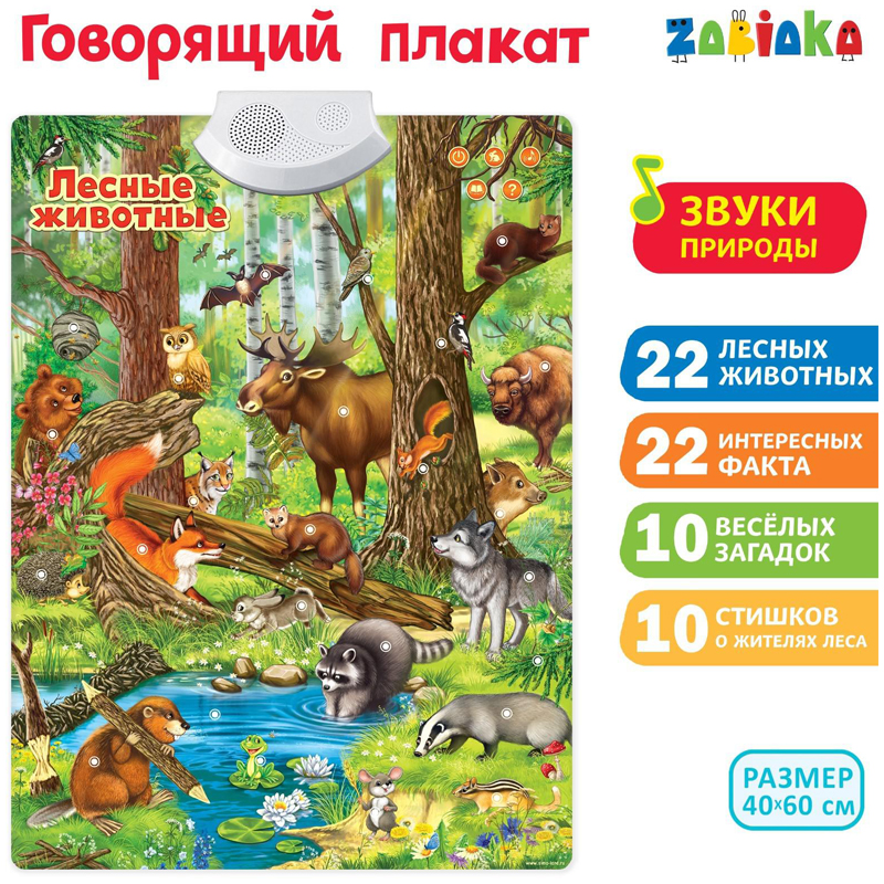 Говорящий плакат ZABIAKA "Лесные животные", картонная коробка 3524462