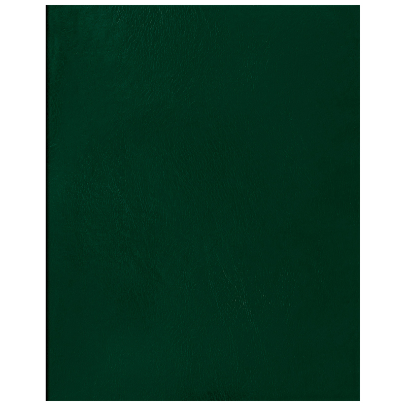 Тетрадь 96л., А5 клетка BG, бумвинил, зеленый, суперэконом Т5бв96кЭ_12334