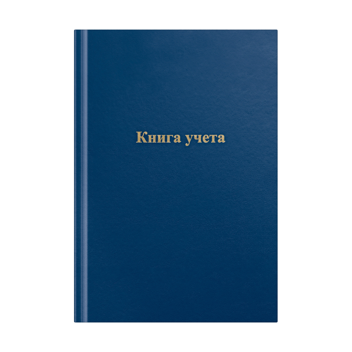 Книга учета OfficeSpace, А4, 96л., линия, 200*290мм, бумвинил, цвет синий, блок офсетный 326532