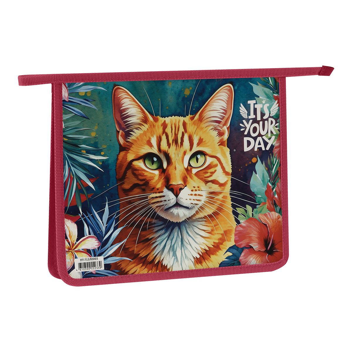 Папка для тетрадей 1 отделение, ArtSpace "The Red Cat", А5, пластик, на молнии ПТ-715Л0003