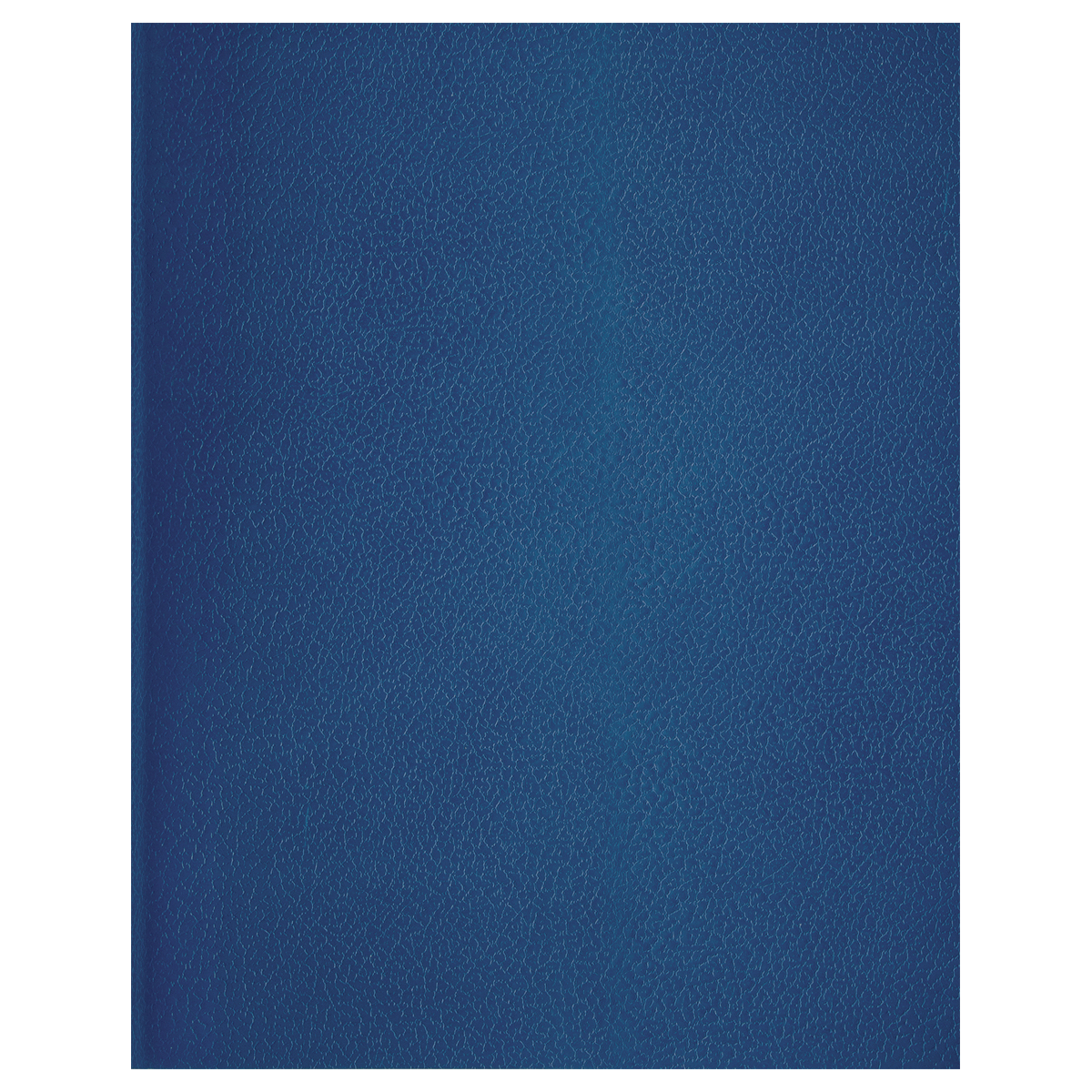 Тетрадь 80л., А4 клетка BG, бумвинил, синий, суперэконом Т4бв80кЭ_12326